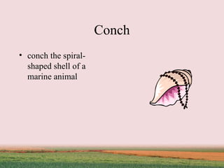 Conch conch the spiral-shaped shell of a marine animal 