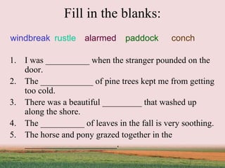 Fill in the blanks: I was __________ when the stranger pounded on the door. The ____________ of pine trees kept me from getting too cold. There was a beautiful _________ that washed up along the shore. The __________ of leaves in the fall is very soothing. The horse and pony grazed together in the _____________________. windbreak rustle alarmed paddock conch 