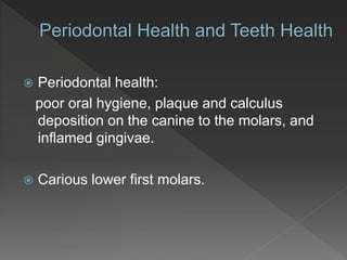  Periodontal health:
poor oral hygiene, plaque and calculus
deposition on the canine to the molars, and
inflamed gingivae.
 Carious lower first molars.
 