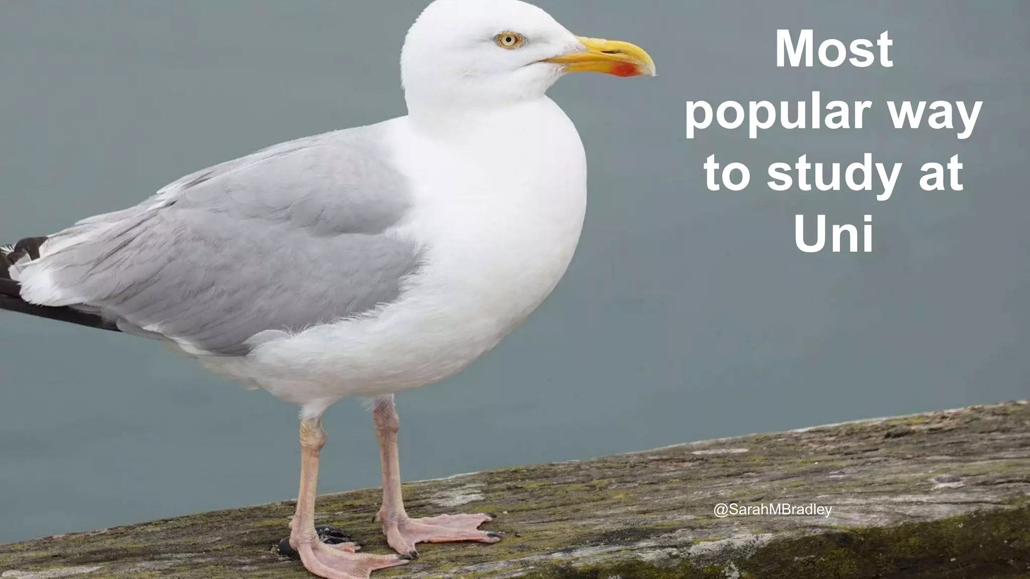 v
Most
popular way
to study at
Uni
@SarahMBradley
 