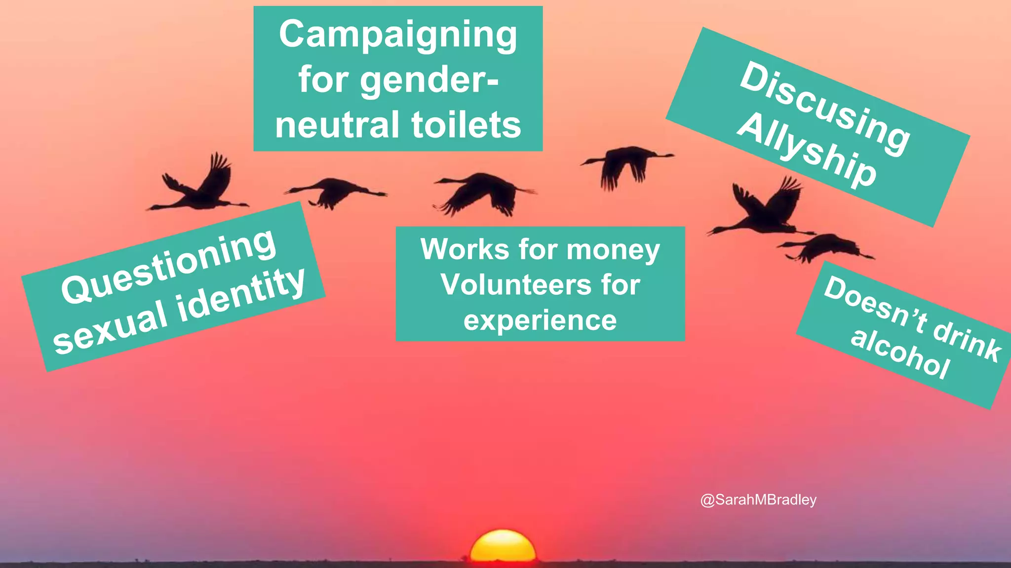 Campaigning
for gender-
neutral toilets
Works for money
Volunteers for
experience
@SarahMBradley
 