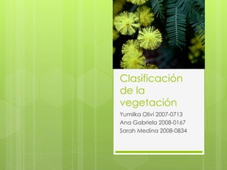 Clasificación
de la
vegetación
Yumilka Olivi 2007-0713
Ana Gabriela 2008-0167
Sarah Medina 2008-0834
 