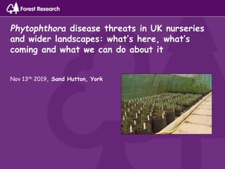 Phytophthora disease threats in UK nurseries
and wider landscapes: what’s here, what’s
coming and what we can do about it
Nov 13th 2019, Sand Hutton, York
 