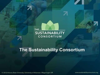The Sustainability Consortium
 