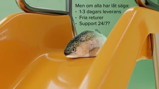 X
Men om alla har låt säga:
• 1-3 dagars leverans
• Fria returer
• Support 24/7?
 