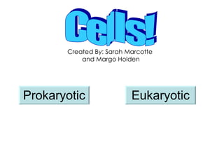 Cells! Created By: Sarah Marcotte  and Margo Holden Prokaryotic Eukaryotic 