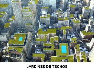 JARDINES DE TECHOS
 