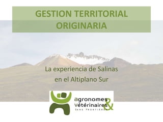 GESTION TERRITORIAL
ORIGINARIA
La experiencia de Salinas
en el Altiplano Sur
 