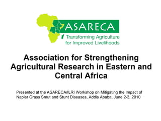 Association for Strengthening Agricultural Research in Eastern and Central Africa Presented at the ASARECA/ILRI Workshop on Mitigating the Impact of Napier Grass Smut and Stunt Diseases, Addis Ababa, June 2-3, 2010 