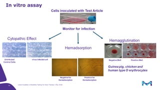 Latest Updates in Biosafety Testing for Gene Therapy | PDF