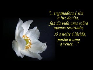 “ ...enganadora é sim  a luz do dia,  faz da vida uma sobra apenas recortada, só a noite é lúcida, porém o sono  a vence,...” 