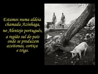 Estamos numa aldeia  chamada Azinhaga, no Alentejo português, a região sul do país onde se produzem azeitonas, cortiça  e trigo. 