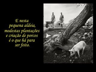 E nesta  pequena aldeia, modestas plantações  e criação de porcos  é o que há para  ser feito. 