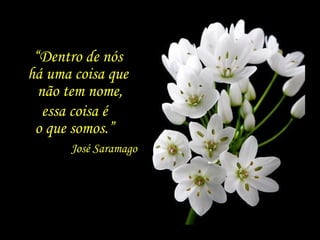 “ Dentro de nós  há uma coisa que  não tem nome, essa coisa é  o que somos.”  José Saramago 