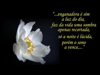 “ ...enganadora é sim  a luz do dia,  faz da vida uma sombra apenas recortada, só a noite é lúcida, porém o sono  a vence,...” 