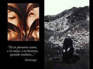 “Só os pássaros voam,
e os anjos, e os homens,
quando sonham...”
Saramago
 