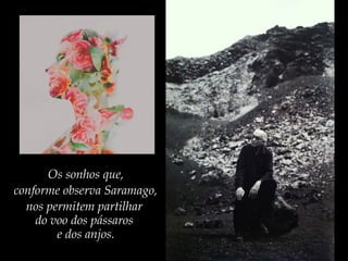 Os sonhos que,
conforme observa Saramago,
nos permitem partilhar
do voo dos pássaros
e dos anjos.
 