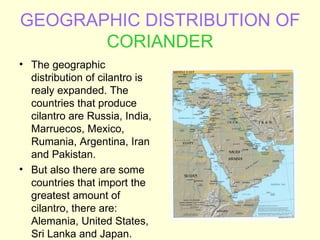 GEOGRAPHIC DISTRIBUTION OF CORIANDER ,[object Object],[object Object]