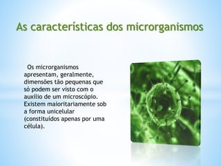 As características dos microrganismos
Os microrganismos
apresentam, geralmente,
dimensões tão pequenas que
só podem ser visto com o
auxílio de um microscópio.
Existem maioritariamente sob
a forma unicelular
(constituídos apenas por uma
célula).
 
