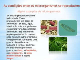 Os microrganismos estão em
todo o lado. Vivem
praticamente em todos os
ambientes – ar, solo, água,
interior de outros organismos –
e nas mais variadas condições
ambientais, até mesmo em
regiões profundas do oceano
onde nenhum outro organismo
consegue viver. Apresenta uma
grande diversidade de
tamanho e formas, podendo
ser distribuídos por cinco
grupos: os vírus, as bactérias,
os protozoários, as algas
microscópicas e alguns
fungos.
As condições onde os microrganismos se reproduzem
Alguns exemplos de microrganismos
 