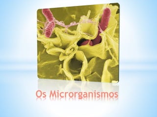 Os Microrganismos
 