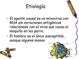 Sarampión | PPT