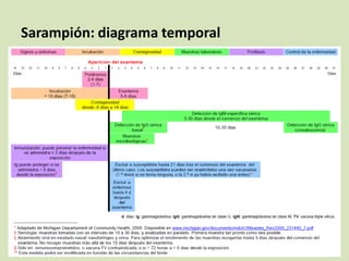Sarampión: diagrama temporal
 