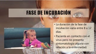 FASE DE INCUBACIÓN
• La duración de la fase de
incubación varia entre 8 a 12
días.
• Paciente en contacto con el
virus pero no presenta
sintomatología alguna con
relación a la enfermedad.
 