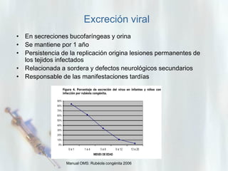 Excreción viral
• En secreciones bucofaríngeas y orina
• Se mantiene por 1 año
• Persistencia de la replicación origina lesiones permanentes de
los tejidos infectados
• Relacionada a sordera y defectos neurológicos secundarios
• Responsable de las manifestaciones tardías

Manual OMS: Rubéola congénita 2006

 