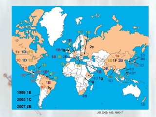 1999 1E
2005 1C
2007 2B
JID 2005; 192: 1890-7

 