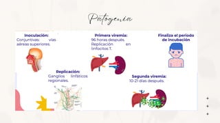 Patogenia
 