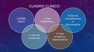 CUADRO CLÍNICO
CUATRO
FACES
1. Fase de
incubación
2. Fase
Prodrómica
3. Fase
eruptiva o
exantemática
4.Fase de
Convalecencia
o
Descamativa
 