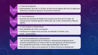 1. FASE
• 1. Fase de incubación:
• (Asintomático) Dura de 7 a 14 días, se inicia con el ingreso del virus al organismo
(infección) y finaliza al aparecer los primeros síntomas.
2. FASE
• 2. Fase Prodrómica:
• Aparición de manchas de Koplik en la mucosa oral. Dura de 4 a 5 días. Se
caracteriza por malestar general, fiebre alta, tos, coriza, conjuntivitis y falta de
apetito.
3. FASE
• 3. Fase eruptiva o exantemática:
• Dura alrededor de 5 días. La erupción
• comienza en la región retro auricular, se extiende a la frente, cara,
• cuello, extremidades.
4. FASE
• 4. Fase de Convalecencia o Descamativa:
Hay remisión progresiva de los síntomas y desaparición progresiva de la
erupción (exantema) en el mismo orden en que apareció, con descamación
fina, quedando la piel más o menos pigmentada(color café claro.)
• Dura de 16 a 21 días y la tos puede ser el último síntoma en desaparecer.
 