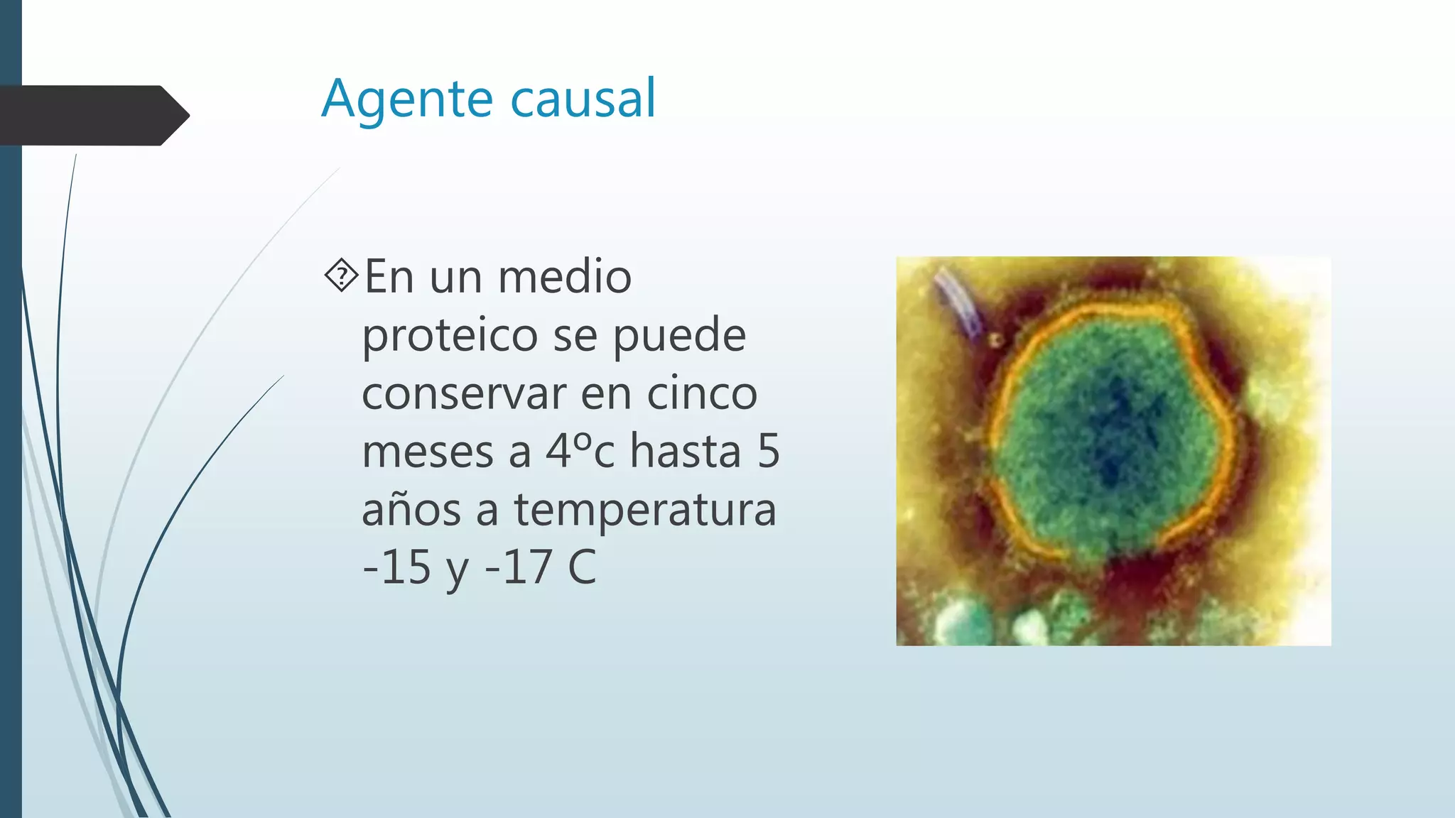 Agente causal
En un medio
proteico se puede
conservar en cinco
meses a 4ºc hasta 5
años a temperatura
-15 y -17 C
 