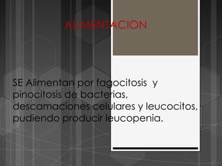 ALIMENTACION




SE Alimentan por fagocitosis y
pinocitosis de bacterias,
descamaciones celulares y leucocitos,
pudiendo producir leucopenia.
 