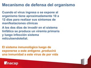 Mecanismo de defensa del organismo
Cuando el virus ingresa o se expone al
organismo tiene aproximadamente 10 a
12 días para realizar sus síntomas de
manifestaciones clínicas
A los dos días de invadir en el sistema
linfático se produce un viremia primaria
y luego infección sistema
reticuloendotelial.
El sistema inmunológico luego de
exponerse a este antígeno ,producirá
una inmunidad a este virus de por vida
.
 