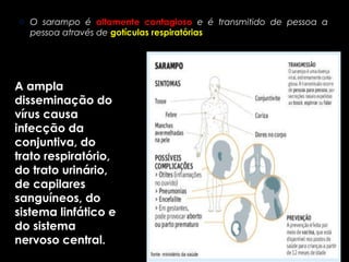 o O sarampo é altamente contagioso e é transmitido de pessoa a 
pessoa através de gotículas respiratórias 
A ampla 
disseminação do 
vírus causa 
infecção da 
conjuntiva, do 
trato respiratório, 
do trato urinário, 
de capilares 
sanguíneos, do 
sistema linfático e 
do sistema 
nervoso central. 
 