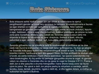 • Bota shtazore eshte mjaft e pasur, por per shkak te nderhyrjeve te njeriut,
pergjithesisht gjendet ne zonat larg qendrave te banuara. Shumellojshmeria e faunes
se eger sherben si motiv per qarkullime te zgjedhura turistike. Nder kafshet
barngrenese qe gjenden permendim: derrin e eger (eshte ne rrezik zhdukje), lepurin
e eger, baldosen, dhine e eger dhe sorkadhen. Kafshet grabitqare, qe jetojne ne kete
zone jane: kunadhja, dhelpra, ujku, cakalli etj. Saranda eshte e pasur edhe me
shpende te llojeve te ndryshme sic jane: shaptorja, thelleza e malit, shkurta,
pellumbat e eger, skifteret, korbat, bufi, kukuvajka, dallendyshja e detit etj.
Saranda gjithashtu ka nje shkalle te larte te biodiversitetit te amfibeve qe ne disa
raste nuk mund te krahasohet me asnje rreth tjeter te Shqiperise. Ka lloje qe jetojne
ne Sarande duke pasur kufirin me veriperendimor te arealit te tyre. Te tilla jane
breshka malore, hardhuca e barit apo gjarpri i reres. Ka lloje amfibesh te zbuluar vitet
e fundit, sic eshte bretkosa e Epirit (Rana epeirotica), nje specie subendemike me
vlera bioekologjike. Ky lloj amfibi ka perhapje gjeografike shume te vogel. Ai gjendet
vetem ne ultesiren e Sarandes dhe ne nje pjese te vogel te Greqise V-P.11. Prania e
detit Jon si dhe pasurite e shumta hidrografike i kane dhene kesaj zone nje faune
ujore te pasur. Ne ujerat e detit Jon jetojne peshq te ndryshem si sardelja, qefulli,
levreku, koca, dentali, skumbria, ngjala e detit etj., si dhe butake detare, si midhja qe
kultivohet ne liqenin e Butrintit.
 