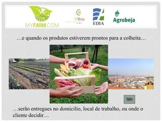 …e quando os produtos estiverem prontos para a colheita…
…serão entregues no domicilio, local de trabalho, ou onde o
cliente decidir…
 