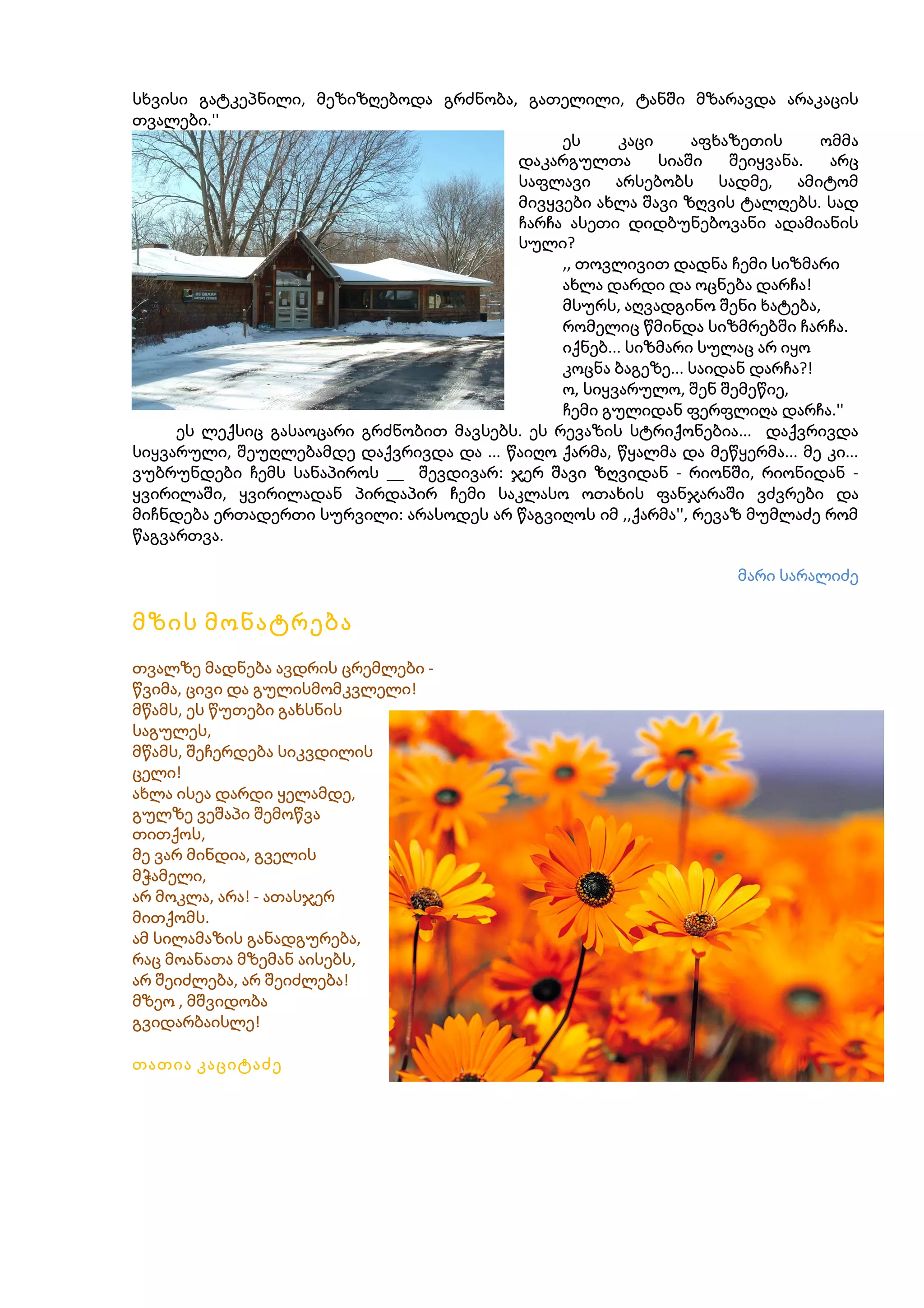 სხვისი გატკეპნილი, მეზიზღებოდა გრძნობა, გათელილი, ტანში მზარავდა არაკაცის
თვალები.''
ეს
კაცი
აფხაზეთის
ომმა
დაკარგულთა
სიაში
შეიყვანა.
არც
საფლავი არსებობს სადმე, ამიტომ
მივყვები ახლა შავი ზღვის ტალღებს. სად
ჩარჩა ასეთი დიდბუნებოვანი ადამიანის
სული?
,, თოვლივით დადნა ჩემი სიზმარი
ახლა დარდი და ოცნება დარჩა!
მსურს, აღვადგინო შენი ხატება,
რომელიც წმინდა სიზმრებში ჩარჩა.
იქნებ... სიზმარი სულაც არ იყო
კოცნა ბაგეზე... საიდან დარჩა?!
ო, სიყვარულო, შენ შემეწიე,
ჩემი გულიდან ფერფლიღა დარჩა.''
ეს ლექსიც გასაოცარი გრძნობით მავსებს. ეს რევაზის სტრიქონებია... დაქვრივდა
სიყვარული, შეუღლებამდე დაქვრივდა და ... წაიღო ქარმა, წყალმა და მეწყერმა... მე კი...
ვუბრუნდები ჩემს სანაპიროს __ შევდივარ: ჯერ შავი ზღვიდან - რიონში, რიონიდან ყვირილაში, ყვირილადან პირდაპირ ჩემი საკლასო ოთახის ფანჯარაში ვძვრები და
მიჩნდება ერთადერთი სურვილი: არასოდეს არ წაგვიღოს იმ ,,ქარმა'', რევაზ მუმლაძე რომ
წაგვართვა.
მარი სარალიძე

მზის მონატრება
თვალზე მადნება ავდრის ცრემლები წვიმა, ცივი და გულისმომკვლელი!
მწამს, ეს წუთები გახსნის
საგულეს,
მწამს, შეჩერდება სიკვდილის
ცელი!
ახლა ისეა დარდი ყელამდე,
გულზე ვეშაპი შემოწვა
თითქოს,
მე ვარ მინდია, გველის
მჭამელი,
არ მოკლა, არა! - ათასჯერ
მითქომს.
ამ სილამაზის განადგურება,
რაც მოანათა მზემან აისებს,
არ შეიძლება, არ შეიძლება!
მზეო , მშვიდობა
გვიდარბაისლე!
თათია კაციტაძე

 
