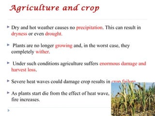 Agriculture and crop
 Dry and hot weather causes no precipitation. This can result in
dryness or even drought.
 Plants are no longer growing and, in the worst case, they
completely wither.
 Under such conditions agriculture suffers enormous damage and
harvest loss.
 Severe heat waves could damage crop results in crop failure.
 As plants start die from the effect of heat wave, the threat of bush
fire increases.
 