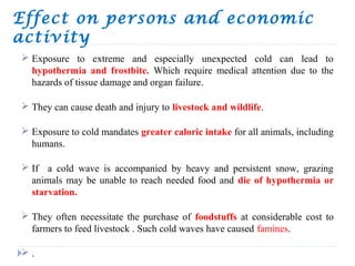 Effect on persons and economic
activity
 Exposure to extreme and especially unexpected cold can lead to
hypothermia and frostbite. Which require medical attention due to the
hazards of tissue damage and organ failure.
 They can cause death and injury to livestock and wildlife.
 Exposure to cold mandates greater caloric intake for all animals, including
humans.
 If a cold wave is accompanied by heavy and persistent snow, grazing
animals may be unable to reach needed food and die of hypothermia or
starvation.
 They often necessitate the purchase of foodstuffs at considerable cost to
farmers to feed livestock . Such cold waves have caused famines.
 .
 