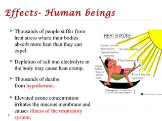 Effects- Human beings
 Thousands of people suffer from
heat stress where their bodies
absorb more heat than they can
expel.
 Depletion of salt and electrolyte in
the body may cause heat cramp.
 Thousands of deaths
from hypothermia.
 Elevated ozone concentration
irritates the mucous membrane and
causes illness of the respiratory
system.
 