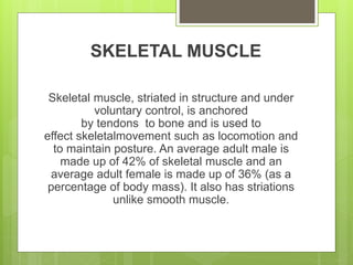 SKELETAL MUSCLE
Skeletal muscle, striated in structure and under
voluntary control, is anchored
by tendons to bone and is used to
effect skeletalmovement such as locomotion and
to maintain posture. An average adult male is
made up of 42% of skeletal muscle and an
average adult female is made up of 36% (as a
percentage of body mass). It also has striations
unlike smooth muscle.
 