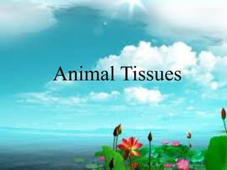 Animal Tissues
 