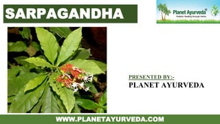 SARPAGANDHA
WWW.PLANETAYURVEDA.COM
PRESENTED BY:-
PLANET AYURVEDA
 