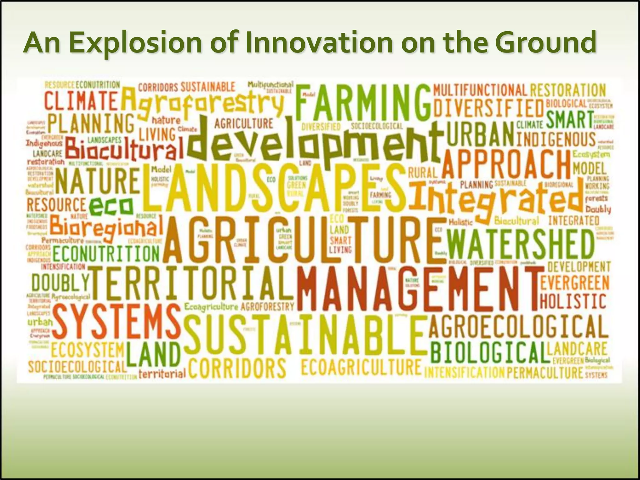 An Explosion of Innovation on the Ground
 