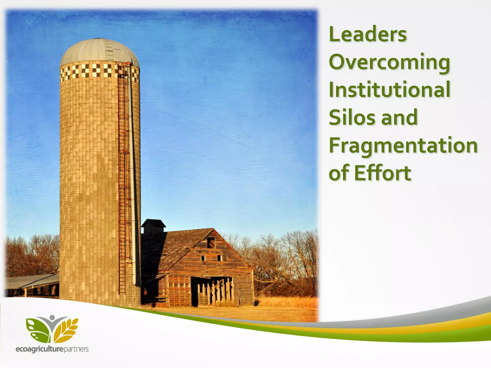 Leaders
Overcoming
Institutional
Silos and
Fragmentation
of Effort
 