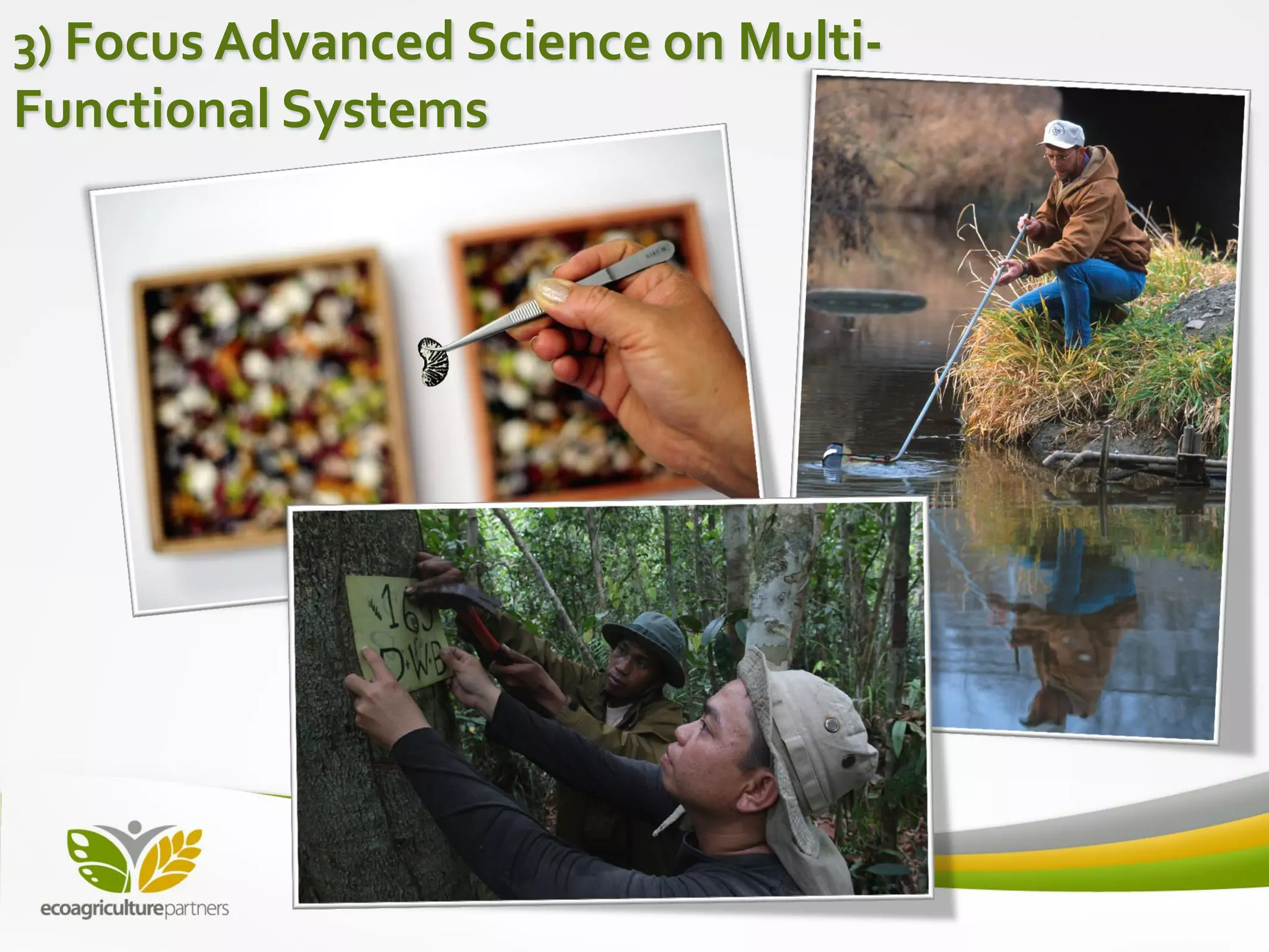 3) Focus Advanced Science on Multi-
Functional Systems
 