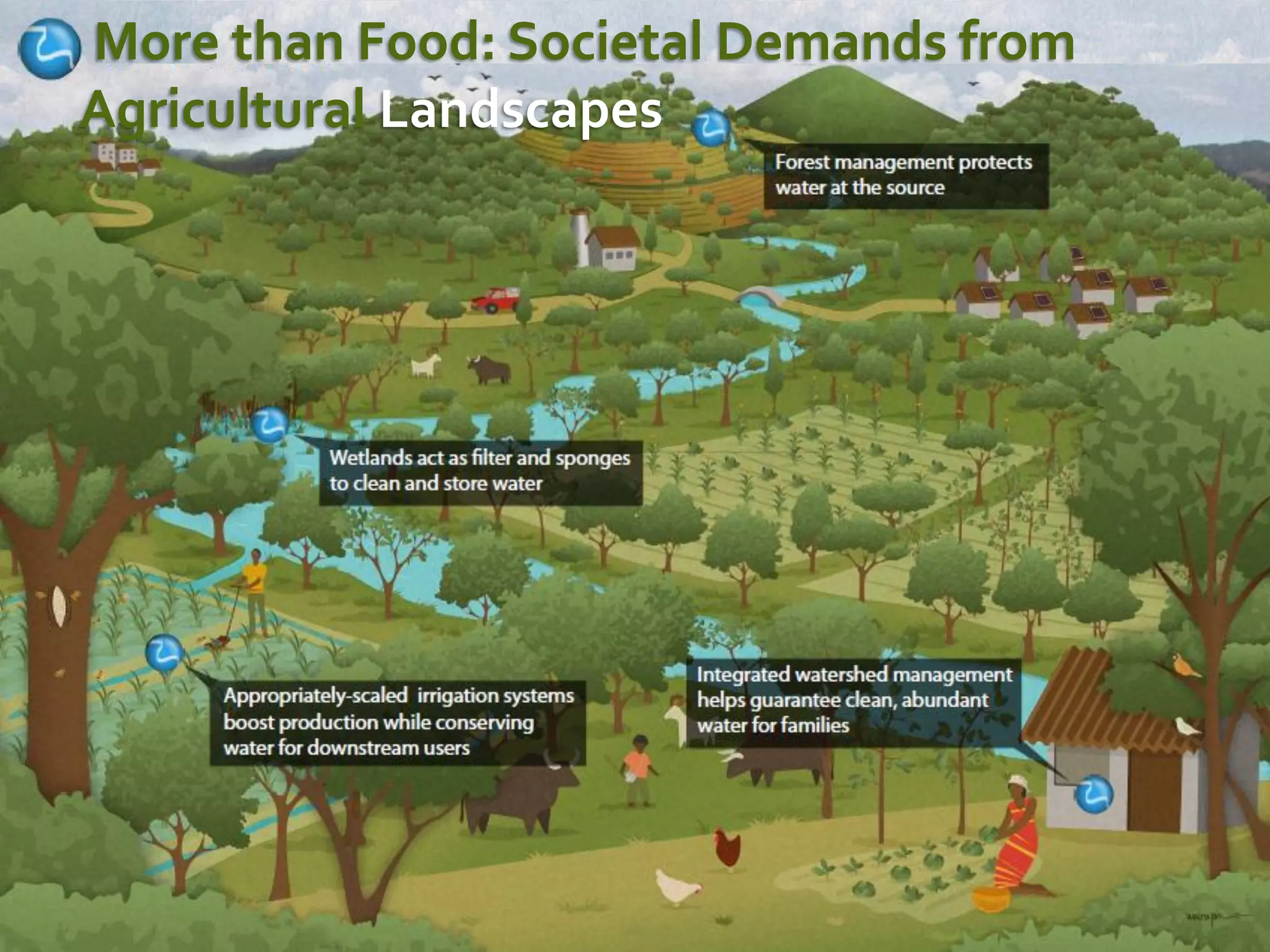 More than Food: Societal Demands from
Agricultural Landscapes
 